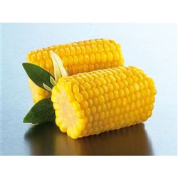 CORN COBETTES SUPER SWEET 50S 4.5KG # 42709 EDGELL