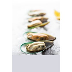 MUSSELS HALF SHELL 1KG(12) TALLEYS