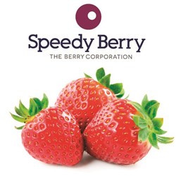 STRAWBERRIES FROZEN 1KG(10) # STRA011 SPEEDY