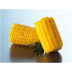 CORN COBETTES SUPER SWEET 100S # 48129 EDGELL