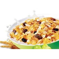 CEREAL SUSTAIN (6 X 1KG) # 1005543846 KELLOGGS