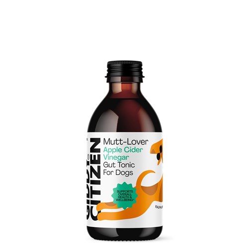 TONIC VINEGAR APPLE CIDER GUT LOVER DIGEST (6 X 200ML) # GTD GIDDY CITIZEN
