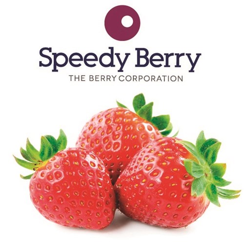 STRAWBERRIES FROZEN 1KG(10) # STRA011 SPEEDY